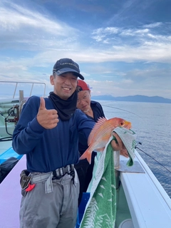 レンコダイの釣果