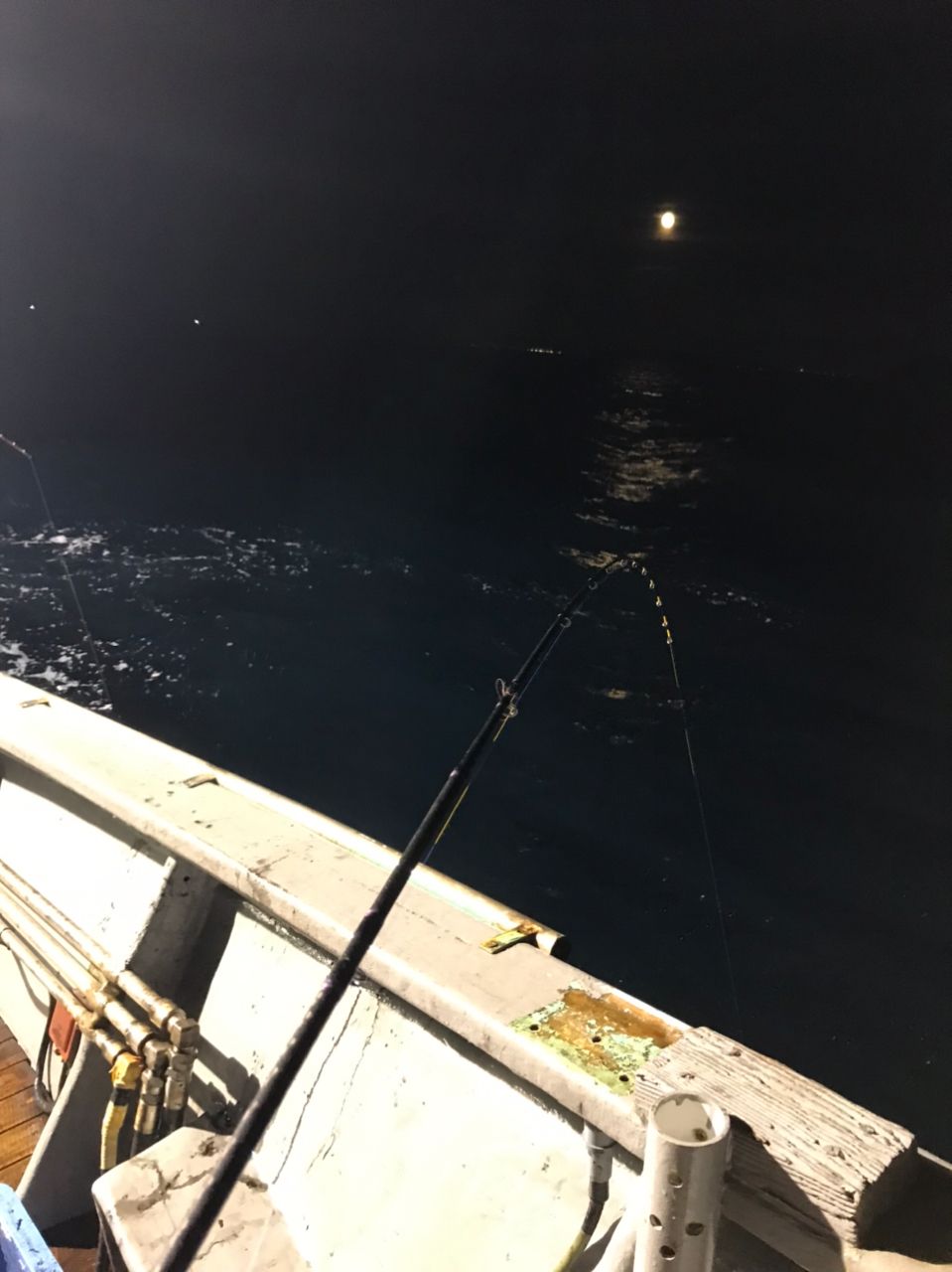 ポアッソンさんの釣果 2枚目の画像