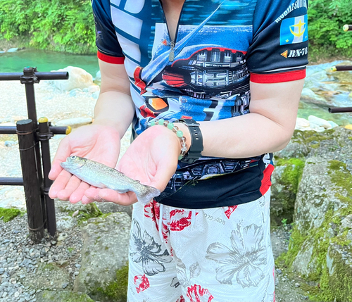 ニジマスの釣果