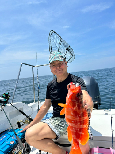 アカハタの釣果