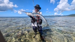 オキザヨリの釣果