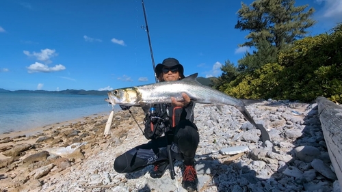 カライワシの釣果