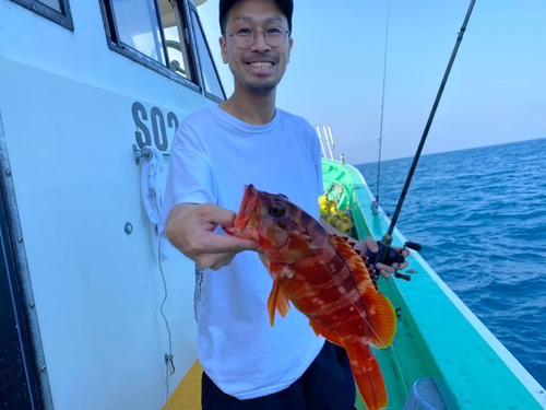 アカハタの釣果