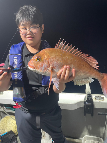 マダイの釣果