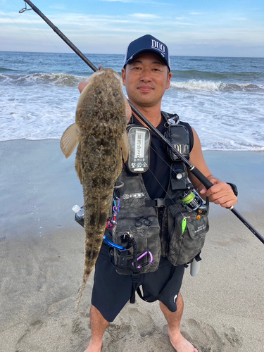 マゴチの釣果