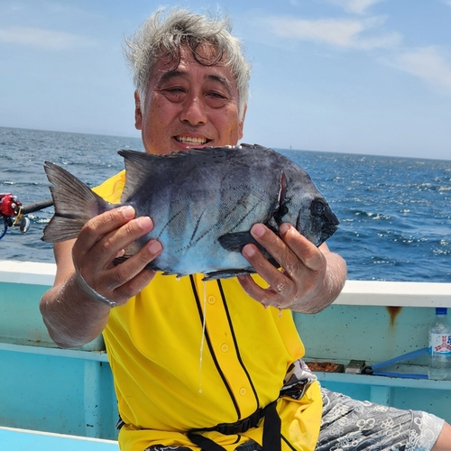 イシダイの釣果