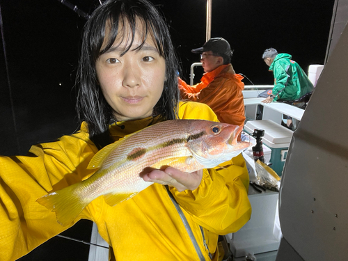 ヨコスジフエダイの釣果