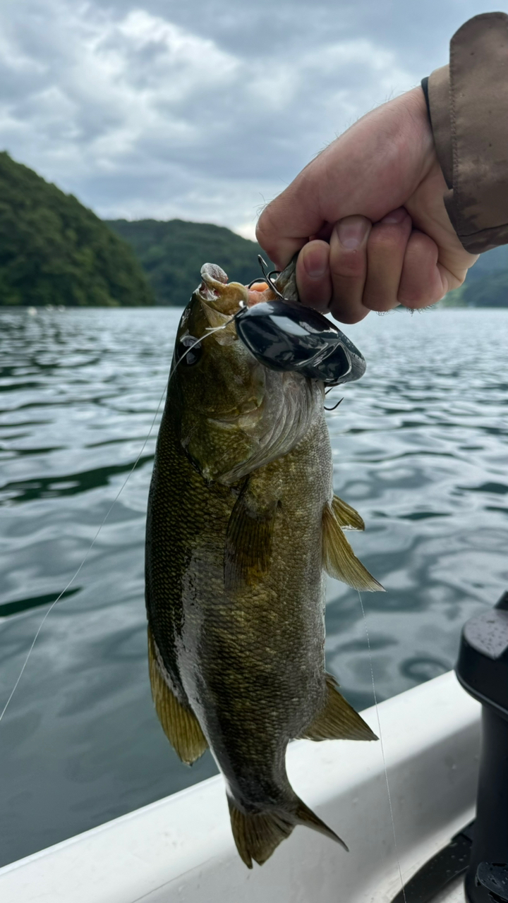 スモールマウスバス