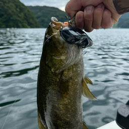 スモールマウスバス