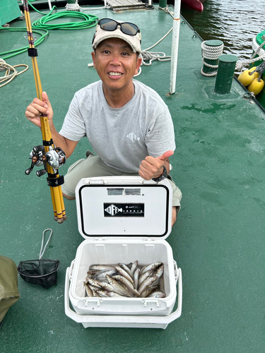 シロギスの釣果