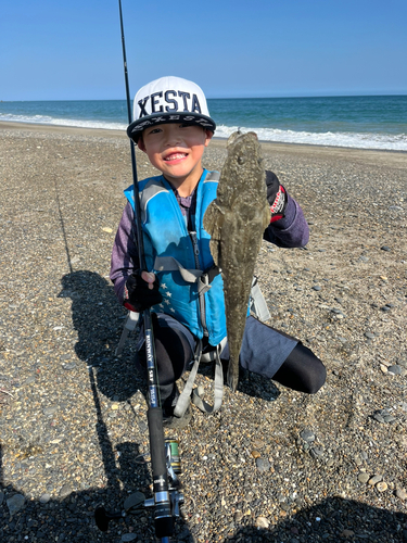 マゴチの釣果