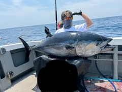 クロマグロの釣果