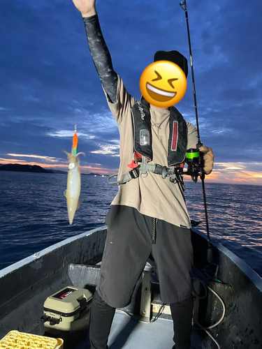 シロイカの釣果