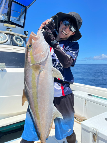 ヒレナガカンパチの釣果