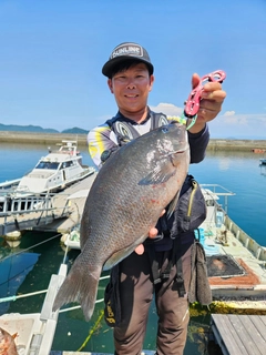 クチブトグレの釣果