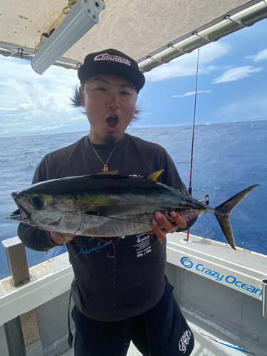 キハダマグロの釣果