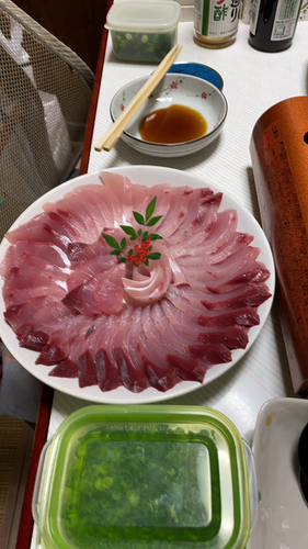 釣果