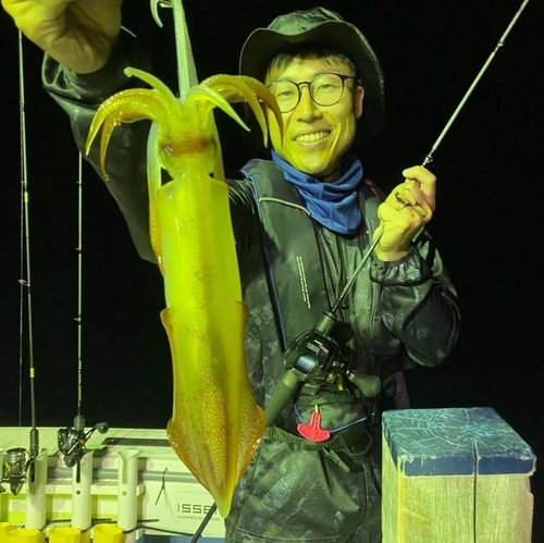 ケンサキイカの釣果