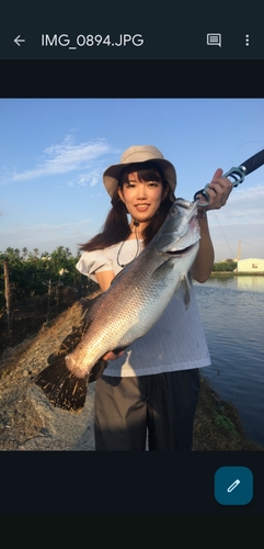 釣果