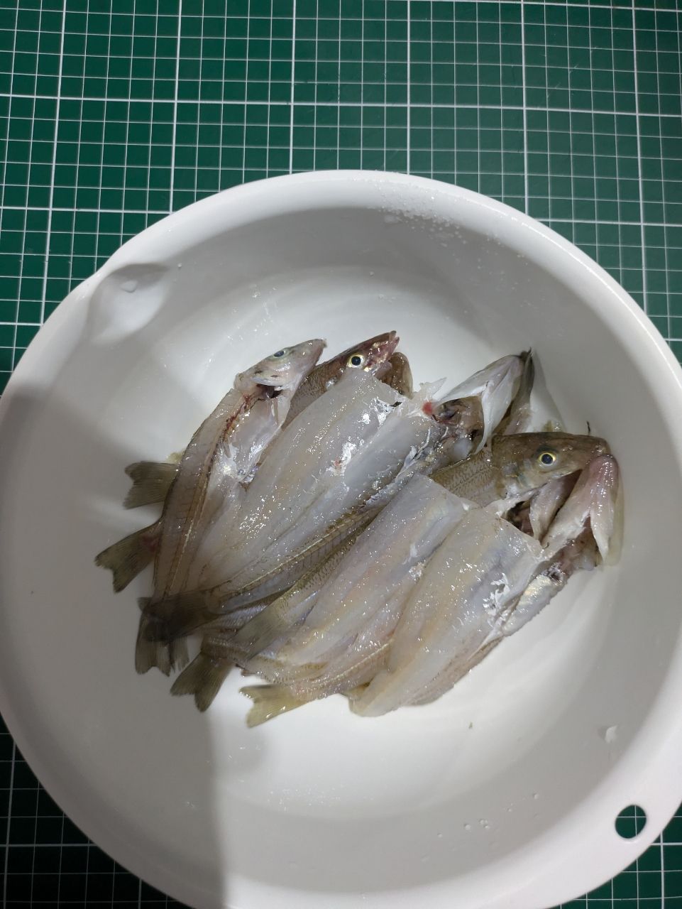 しおタンさんの釣果 3枚目の画像