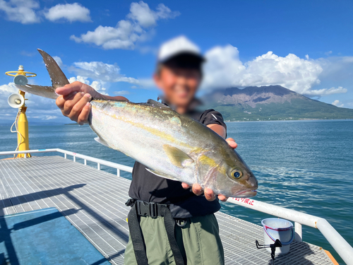 ネリゴの釣果