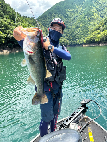 ブラックバスの釣果