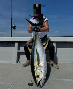 キハダマグロの釣果