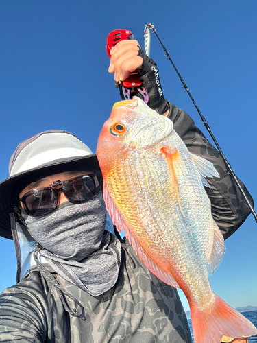 レンコダイの釣果