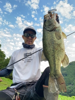 ブラックバスの釣果