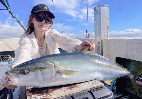 ブリの釣果