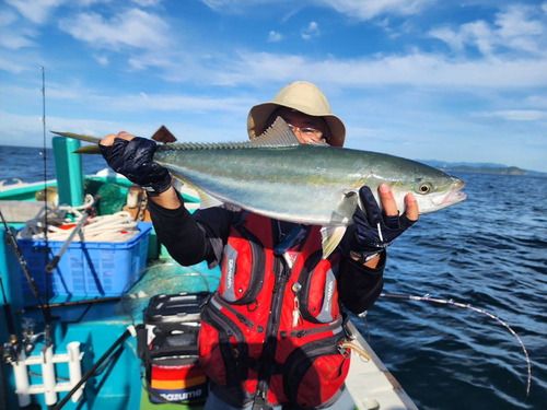 メジロの釣果