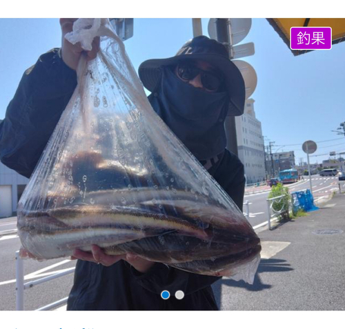 マゴチの釣果