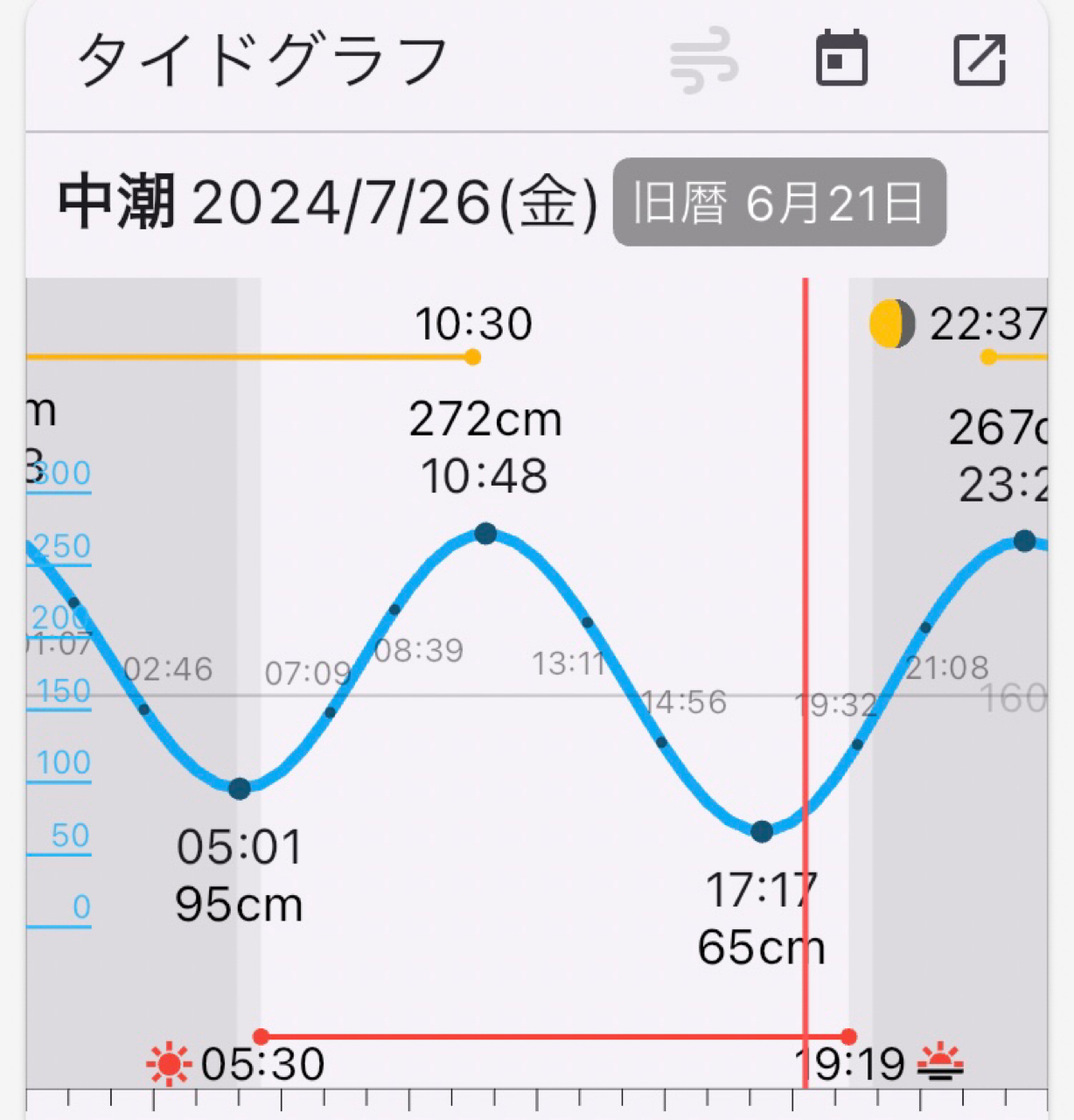 チャイロマルハタ