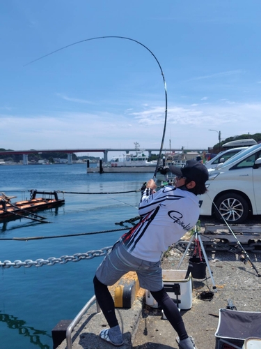 シマアジの釣果