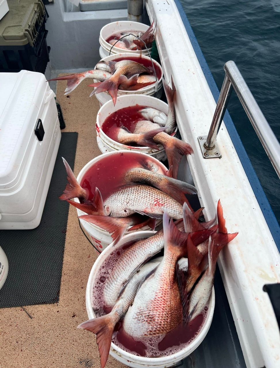 文蔵さんの釣果 3枚目の画像