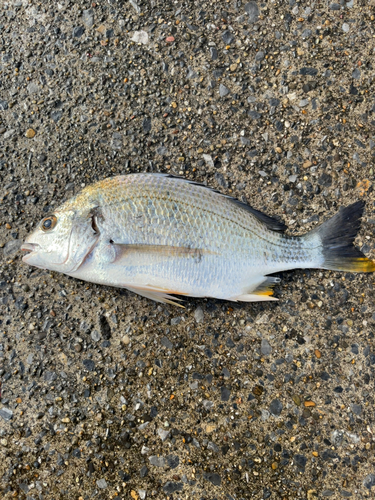 東扇島西公園