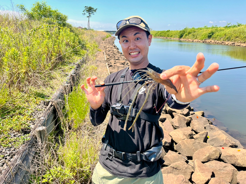 テナガエビの釣果