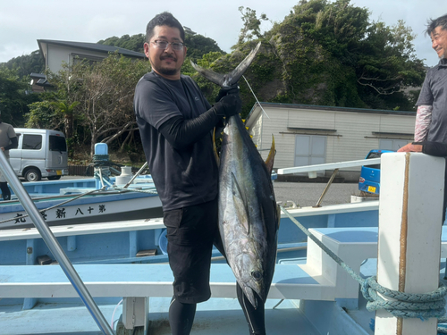 キハダマグロの釣果