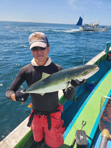 メジロの釣果