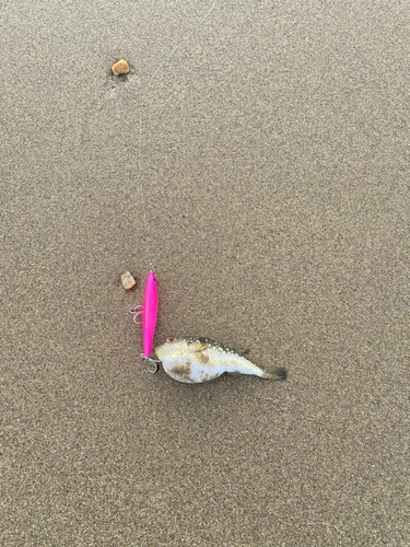 住吉浜リゾートパーク