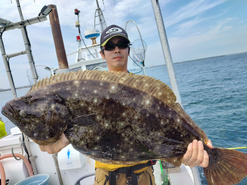 ヒラメの釣果