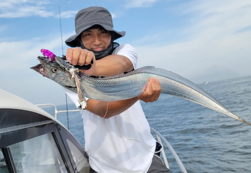 タチウオの釣果