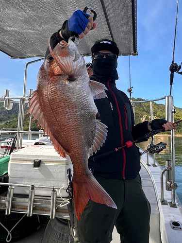 タイの釣果