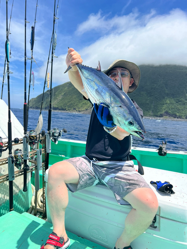 カツオの釣果