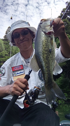 ブラックバスの釣果