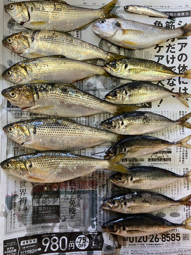 釣果