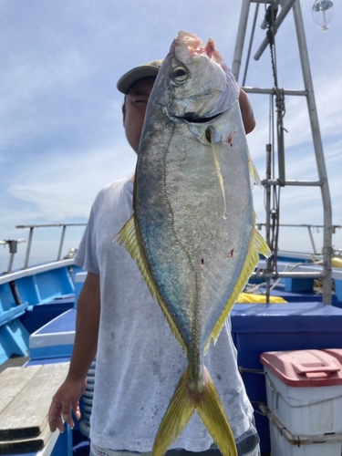 シマアジの釣果