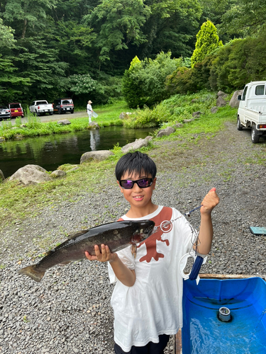 ニジマスの釣果