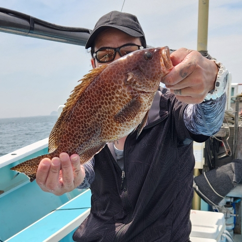 オオモンハタの釣果