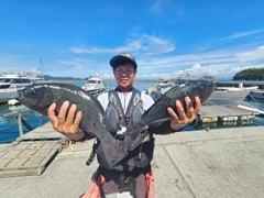 クチブトグレの釣果